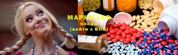 молекула духа Козловка