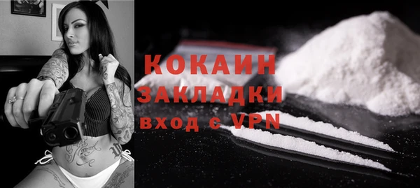 молекула духа Козловка