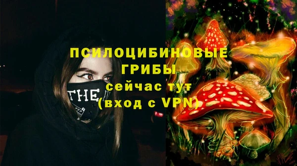 молекула духа Козловка