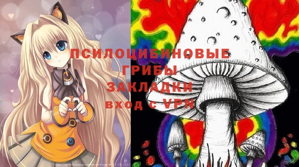 молекула духа Козловка