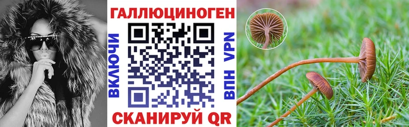 Купить  Якутск  Псилоцибиновые грибы Psilocybe 