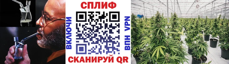 Купить где Якутск Конопля MAZAR